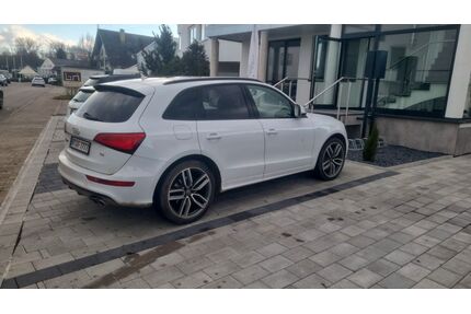 Audi SQ5 Gebrauchtwagen
