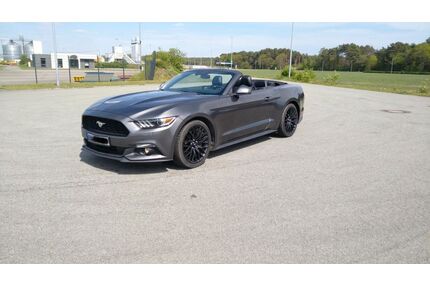 Ford Mustang Gebrauchtwagen