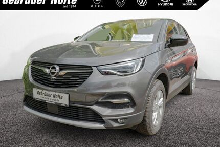 Opel Grandland (X) Gebrauchtwagen