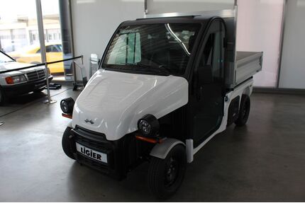 Ligier Andere Gebrauchtwagen