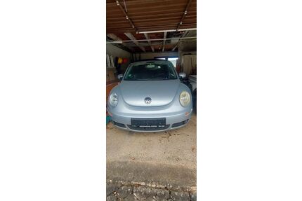 VW Beetle Gebrauchtwagen