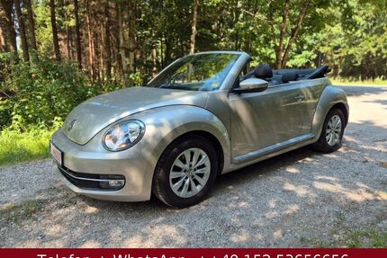 VW Beetle Gebrauchtwagen
