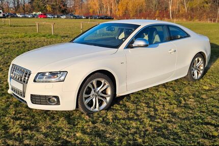 Audi S5 Gebrauchtwagen