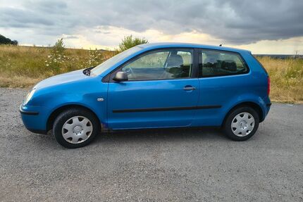 VW Polo Gebrauchtwagen