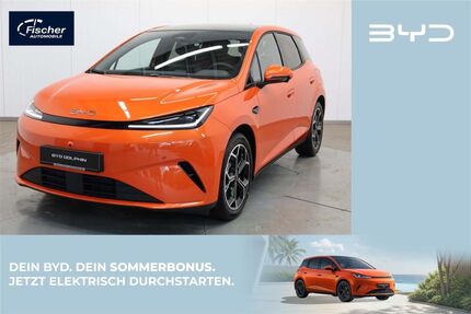 BYD DOLPHIN Gebrauchtwagen