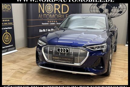 Audi e-tron Gebrauchtwagen