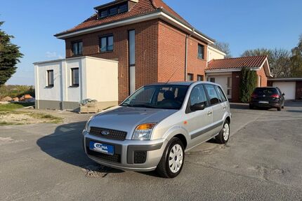 Ford Fusion Gebrauchtwagen