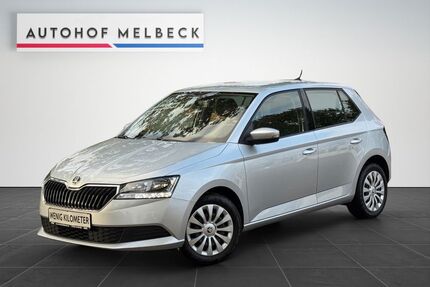 Skoda Fabia Gebrauchtwagen
