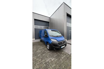 Fiat Ducato Gebrauchtwagen