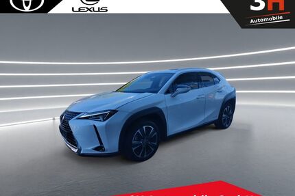 Lexus UX Gebrauchtwagen