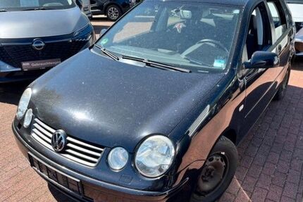VW Polo Gebrauchtwagen