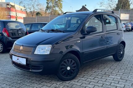 Fiat Panda Gebrauchtwagen
