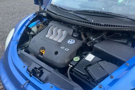 VW Beetle Gebrauchtwagen