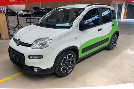 Fiat Panda Gebrauchtwagen