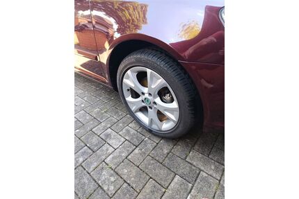 Skoda Octavia Gebrauchtwagen