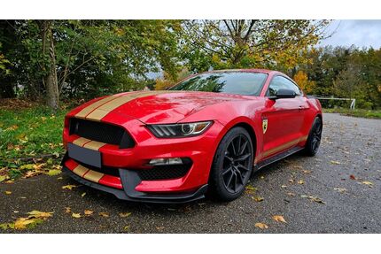 Ford Mustang Gebrauchtwagen