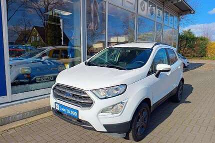 Ford EcoSport Gebrauchtwagen