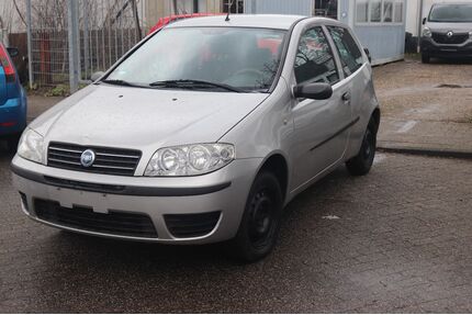 Fiat Punto Gebrauchtwagen