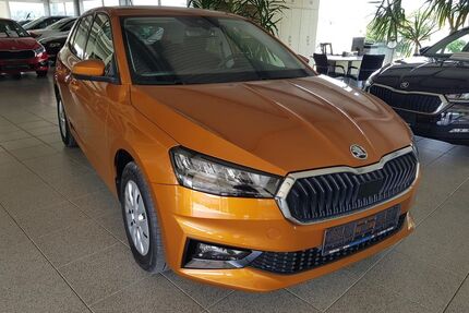 Skoda Fabia Gebrauchtwagen
