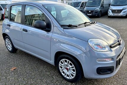Fiat Panda Gebrauchtwagen