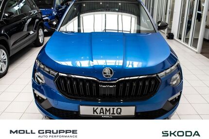 Skoda Kamiq Gebrauchtwagen