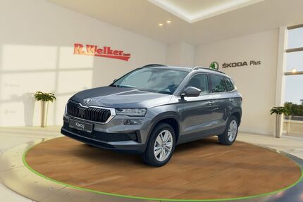 Skoda Karoq Gebrauchtwagen