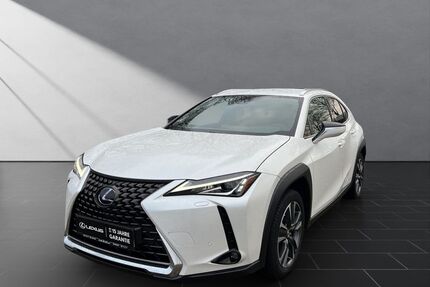 Lexus UX Gebrauchtwagen