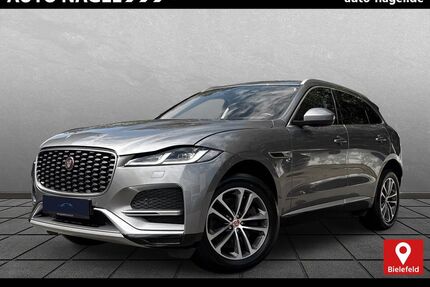 Jaguar F-Pace Gebrauchtwagen