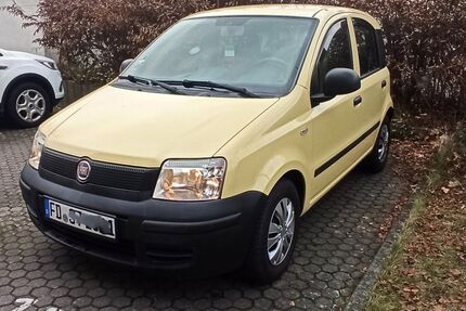 Fiat Panda Gebrauchtwagen