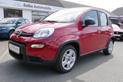 Fiat Panda Gebrauchtwagen
