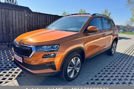 Skoda Karoq Gebrauchtwagen