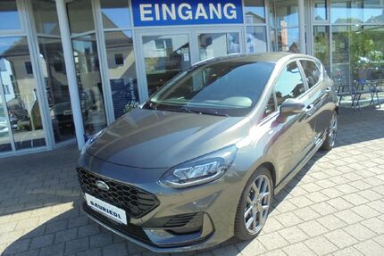 Ford Fiesta Gebrauchtwagen