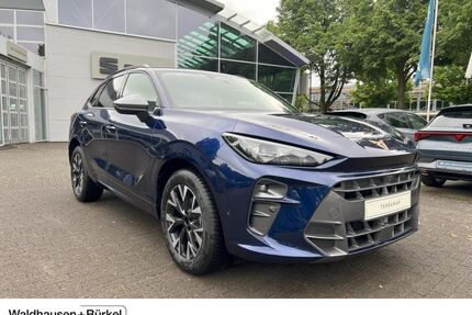 Cupra Terramar Gebrauchtwagen