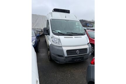 Fiat Ducato Gebrauchtwagen