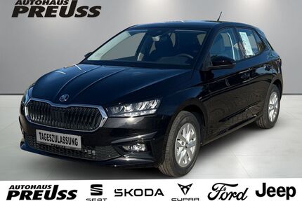 Skoda Fabia Gebrauchtwagen