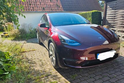 Tesla Model Y Gebrauchtwagen