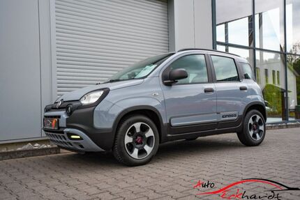 Fiat Panda Gebrauchtwagen