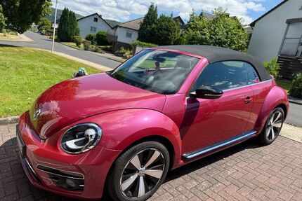 VW Beetle Gebrauchtwagen