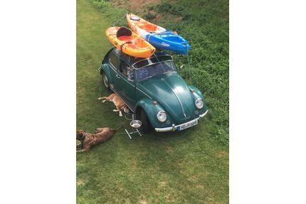 VW Käfer Gebrauchtwagen