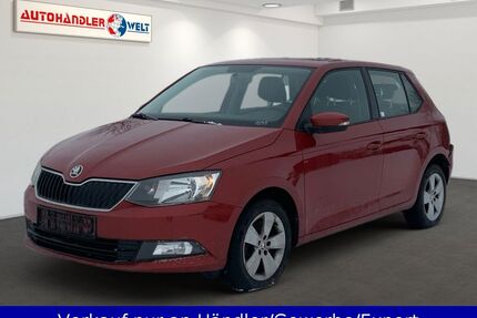 Skoda Fabia Gebrauchtwagen