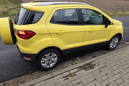 Ford EcoSport Gebrauchtwagen