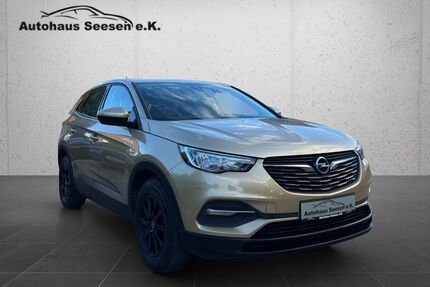 Opel Grandland (X) Gebrauchtwagen