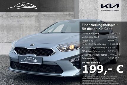 Kia ceed / Ceed Gebrauchtwagen