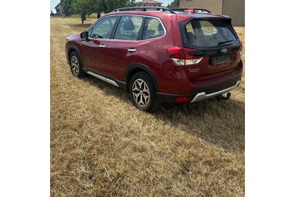 Subaru Forester Gebrauchtwagen