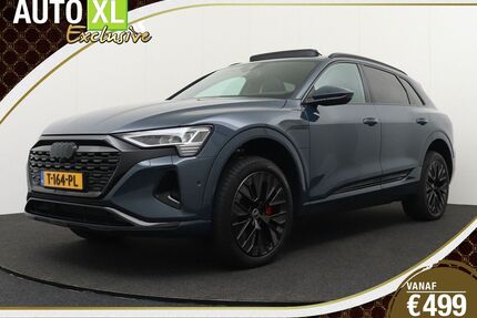 Audi Q8 e-tron Gebrauchtwagen