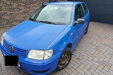 VW Polo Gebrauchtwagen