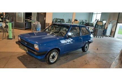 Ford Fiesta Gebrauchtwagen