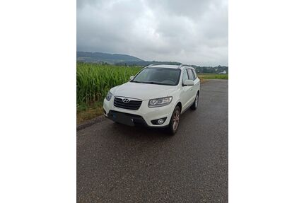 Hyundai SANTA FE Gebrauchtwagen