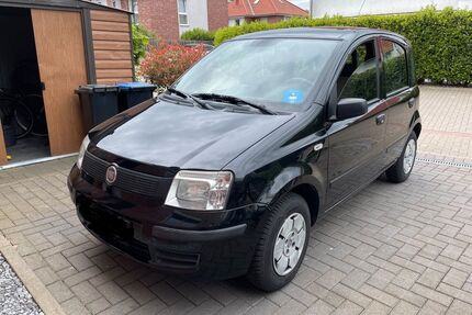 Fiat Panda Gebrauchtwagen