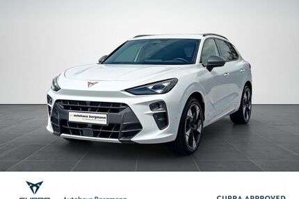 Cupra Terramar Gebrauchtwagen